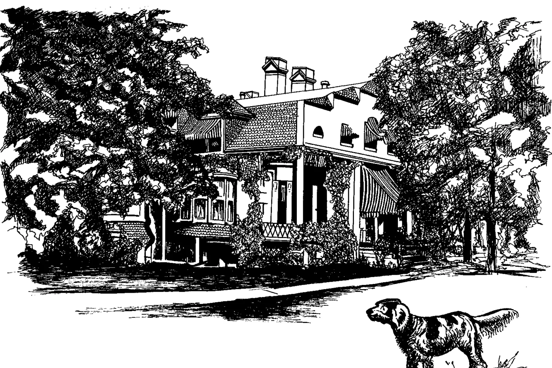 Pen-and-ink drawing of a large house with columns, striped awnings, and climbing vines behind old trees, a dog in the foreground